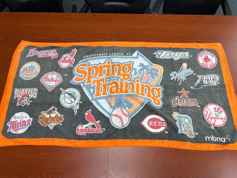 Houston Astros Towels thumbnail