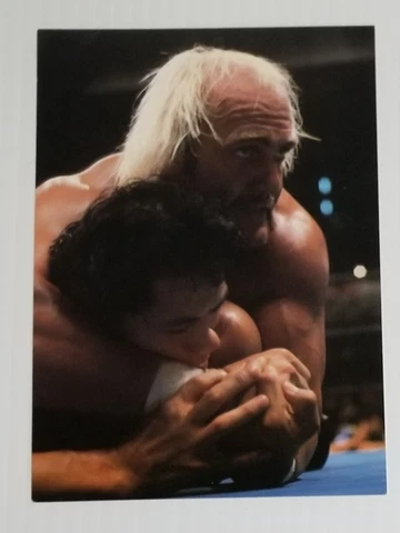 Hulk Hogan Postcards thumbnail