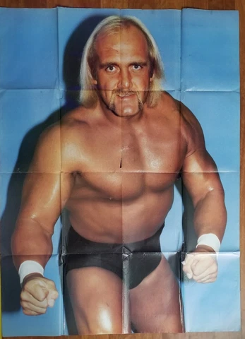 Hulk Hogan Posters thumbnail