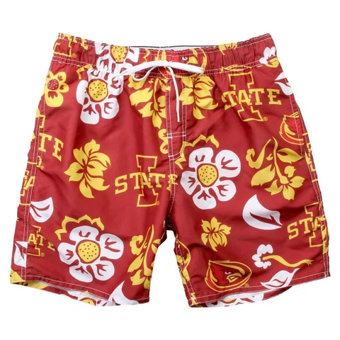 Iowa State Cyclones Shorts thumbnail