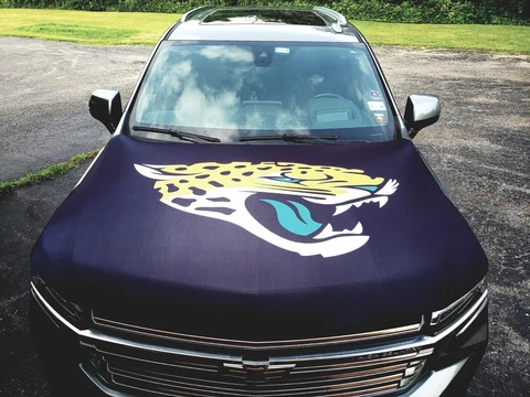 Jacksonville Jaguars Flags