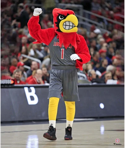 Louisville Cardinals Posters thumbnail