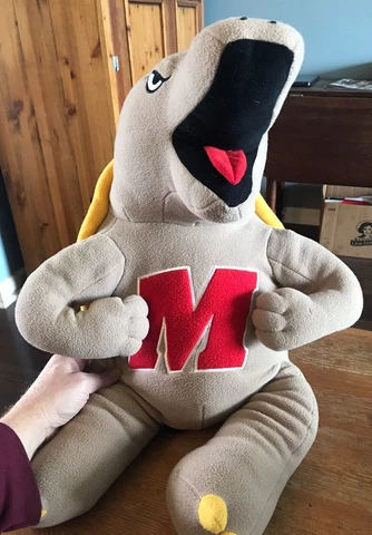 Maryland Terrapins Mascots thumbnail