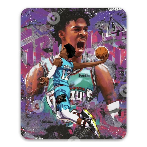 Memphis Grizzlies Magnets