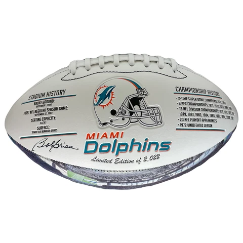 Miami Dolphins Balls