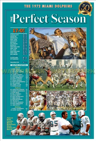 Miami Dolphins Posters thumbnail