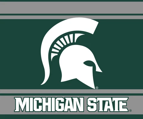 Michigan State Spartans Magnets thumbnail