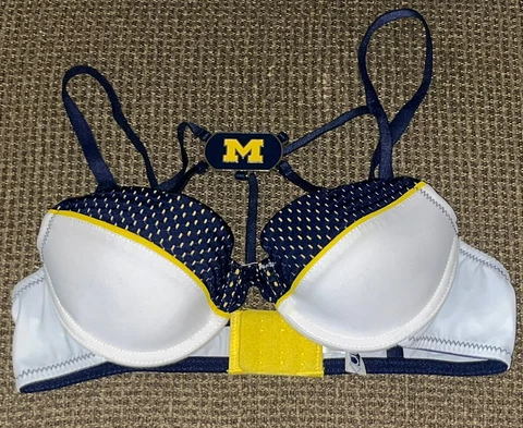 Michigan Wolverines Magnets thumbnail