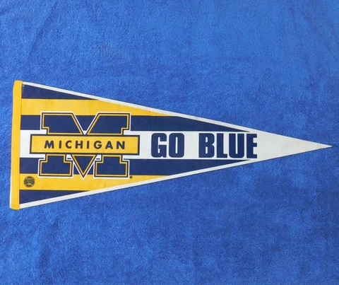 Michigan Wolverines Pennants thumbnail