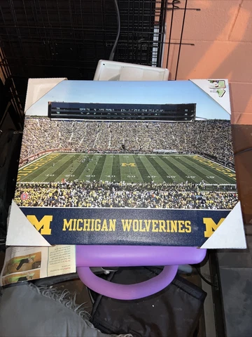 Michigan Wolverines Posters thumbnail
