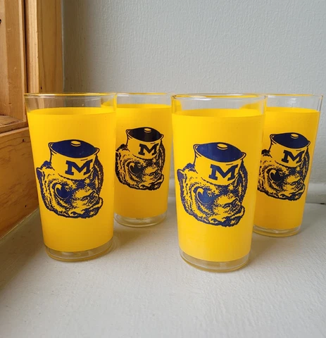 Michigan Wolverines Tumblers thumbnail