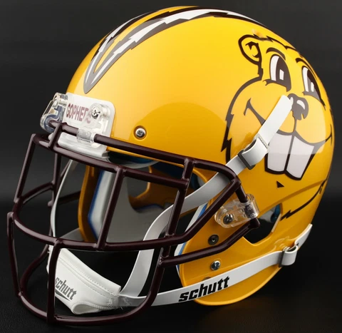 Minnesota Golden Gophers Helmets thumbnail
