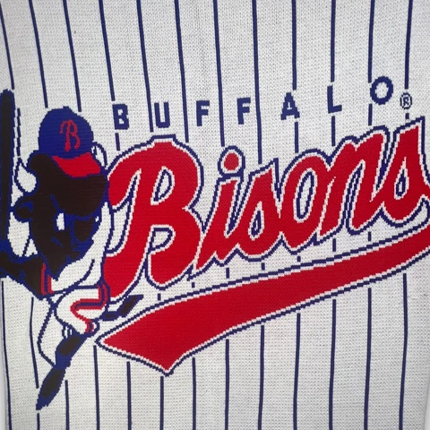 Minor League Baseball Fan Blankets thumbnail
