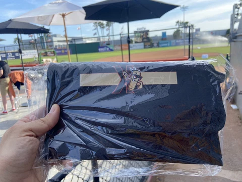 Minor League Baseball Fan Coolers thumbnail