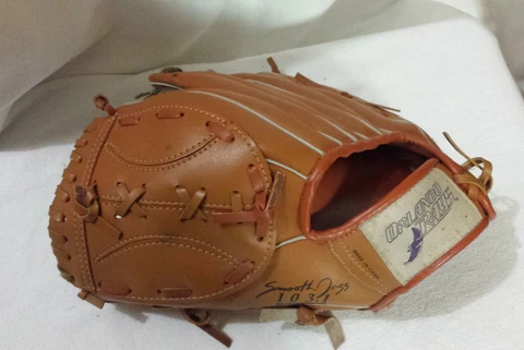 Minor League Baseball Fan Gloves thumbnail