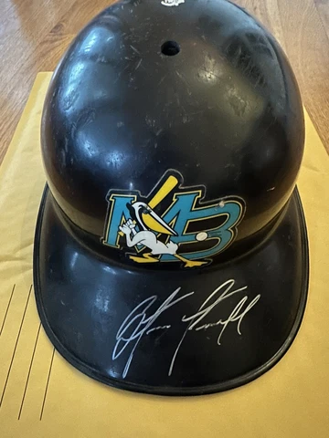 Minor League Baseball Fan Helmets thumbnail