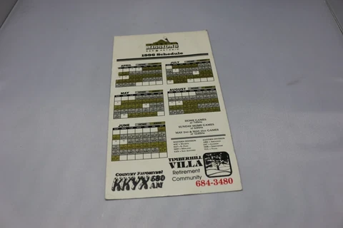 Minor League Baseball Fan Magnets thumbnail