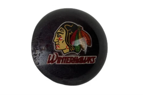Minor League Hockey Fan Glasses thumbnail