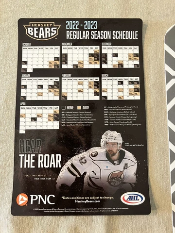 Minor League Hockey Fan Magnets thumbnail