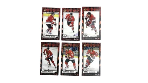 Minor League Hockey Fan Magnets thumbnail