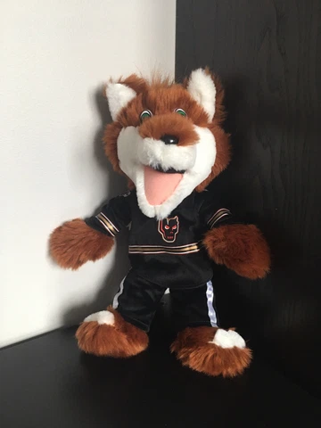 Minor League Hockey Fan Mascots thumbnail