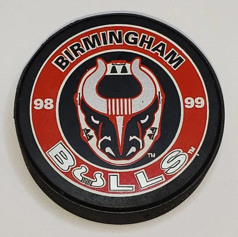 Minor League Hockey Fan Rings thumbnail