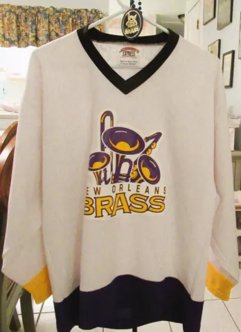Minor League Hockey Fan Sweaters thumbnail