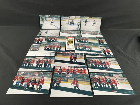 Minor League Hockey Fan Tickets thumbnail