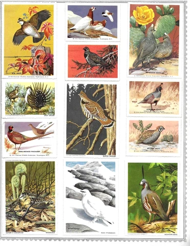 Nature & Plants Stamps thumbnail