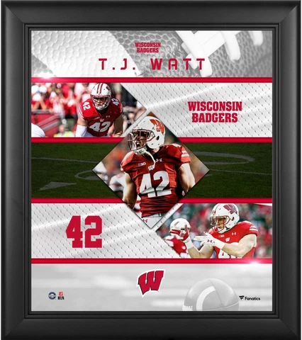 NCAA Fan Plaques thumbnail