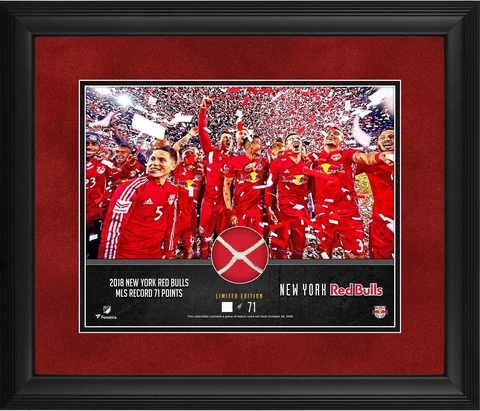 New York Red Bulls Plaques thumbnail