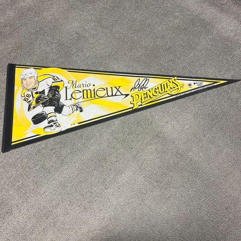 NHL Fan Pennants thumbnail