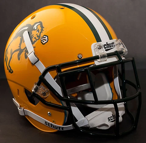 North Dakota State Bison Helmets thumbnail