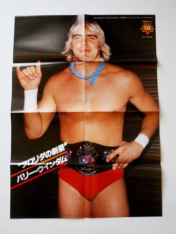 NWA Posters thumbnail