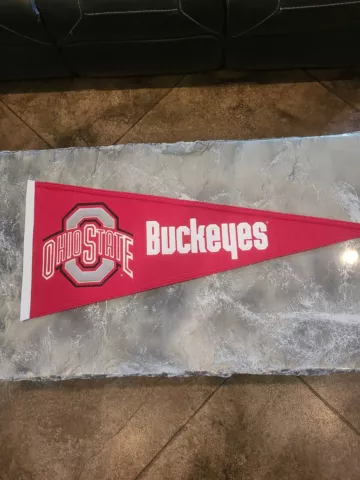 College Flags & Banners Co. Ohio State Buckeyes Two Tone Gradient Banner Grommet Flag