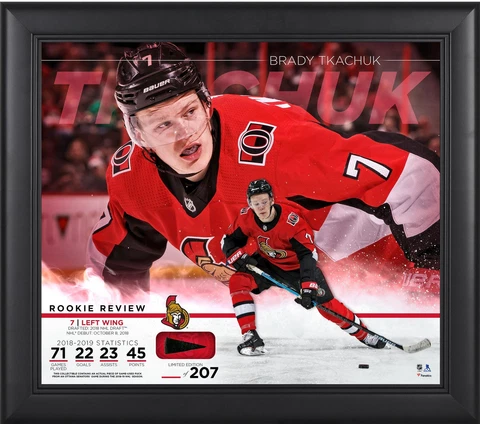 Ottawa Senators Pucks thumbnail