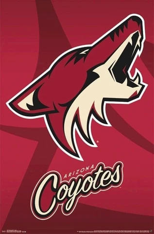 Phoenix Coyotes Posters thumbnail