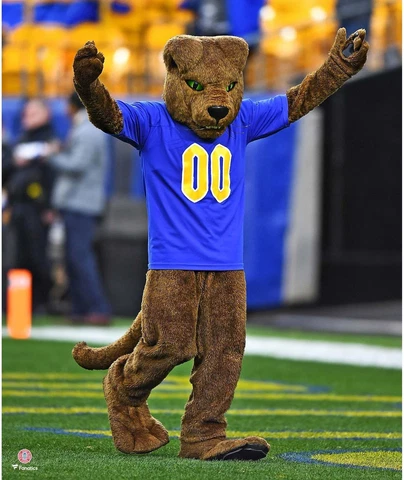 Pitt Panthers Posters thumbnail