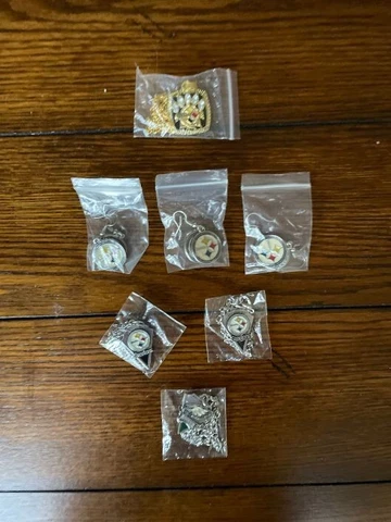 Pittsburgh Steelers Earrings thumbnail