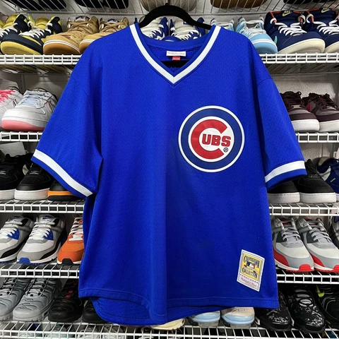 Ryne Sandberg Jerseys thumbnail