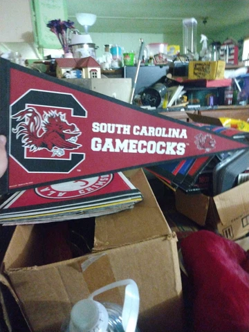 South Carolina Gamecocks Pennants thumbnail