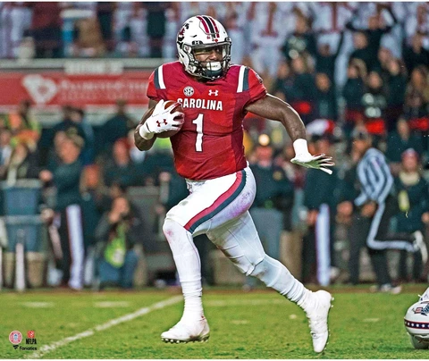 South Carolina Gamecocks Posters thumbnail