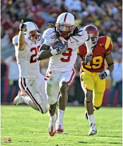 Stanford Cardinal Posters thumbnail