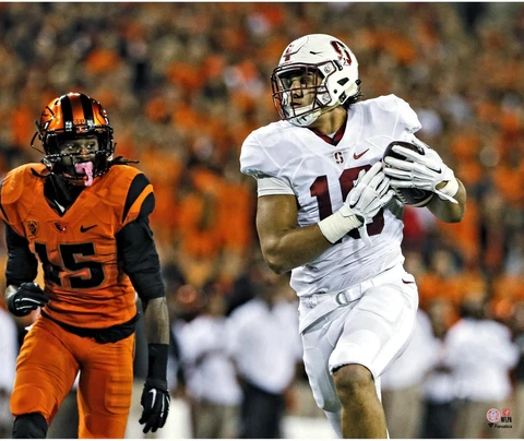 Stanford Cardinal Posters thumbnail