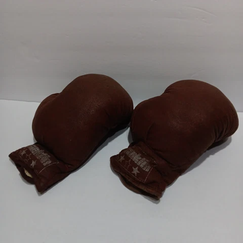 Sugar Ray Leonard Gloves thumbnail