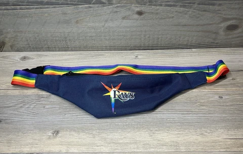 Tampa Bay Rays Bags thumbnail