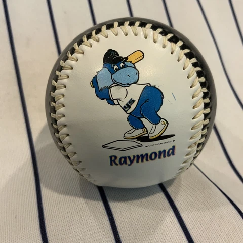 Tampa Bay Rays Balls thumbnail