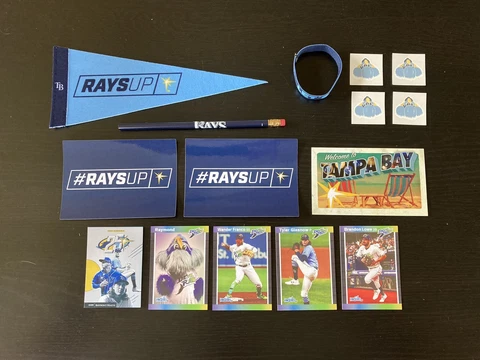 Tampa Bay Rays Magnets thumbnail