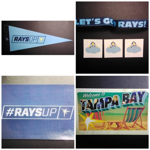 Tampa Bay Rays Magnets thumbnail