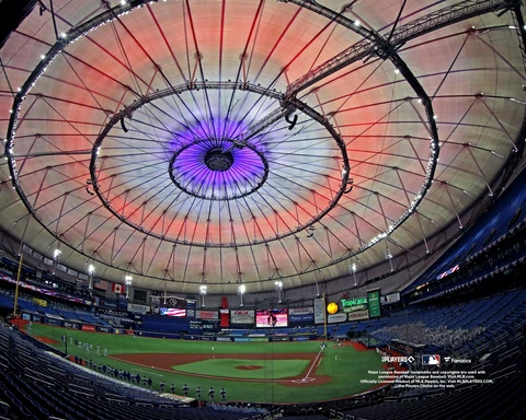 Tampa Bay Rays Posters thumbnail